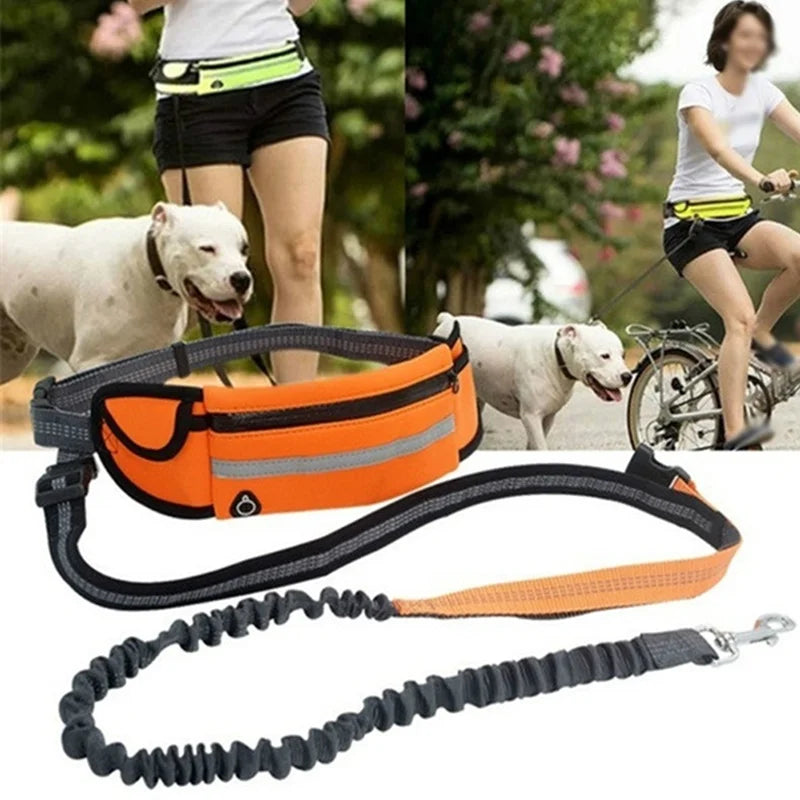 Hands Free Dog Leash for Running Walking Jogging Training Hiking Retractable Bungee Dog Running Waist Leash for Medium Large Dog