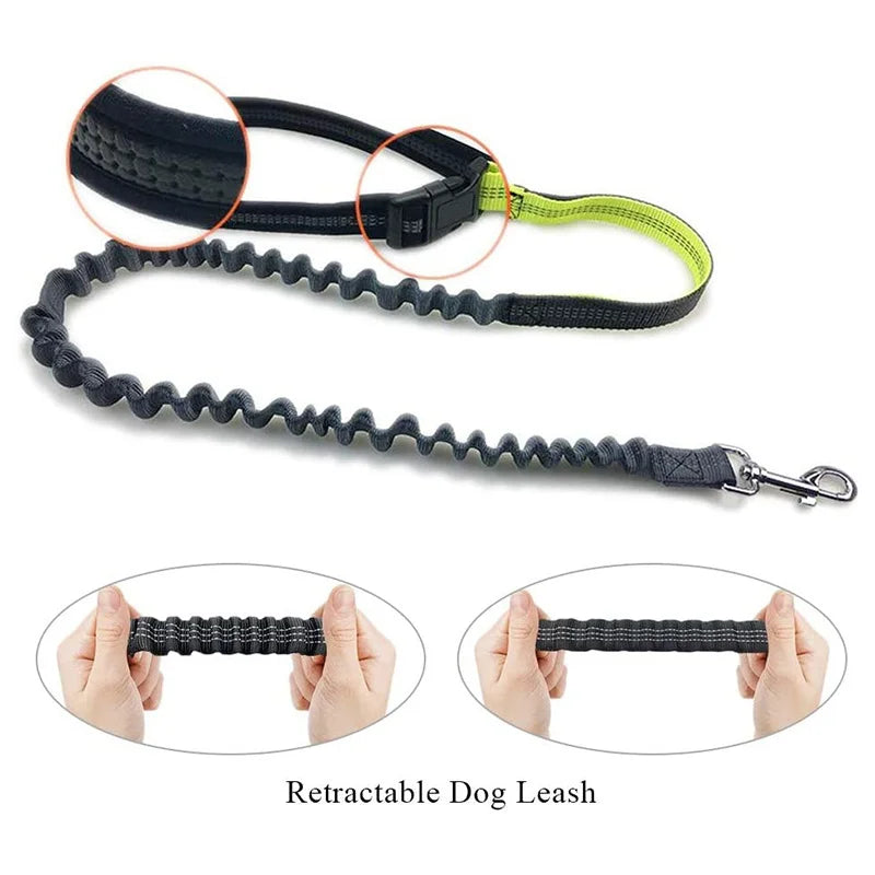 Hands Free Dog Leash for Running Walking Jogging Training Hiking Retractable Bungee Dog Running Waist Leash for Medium Large Dog