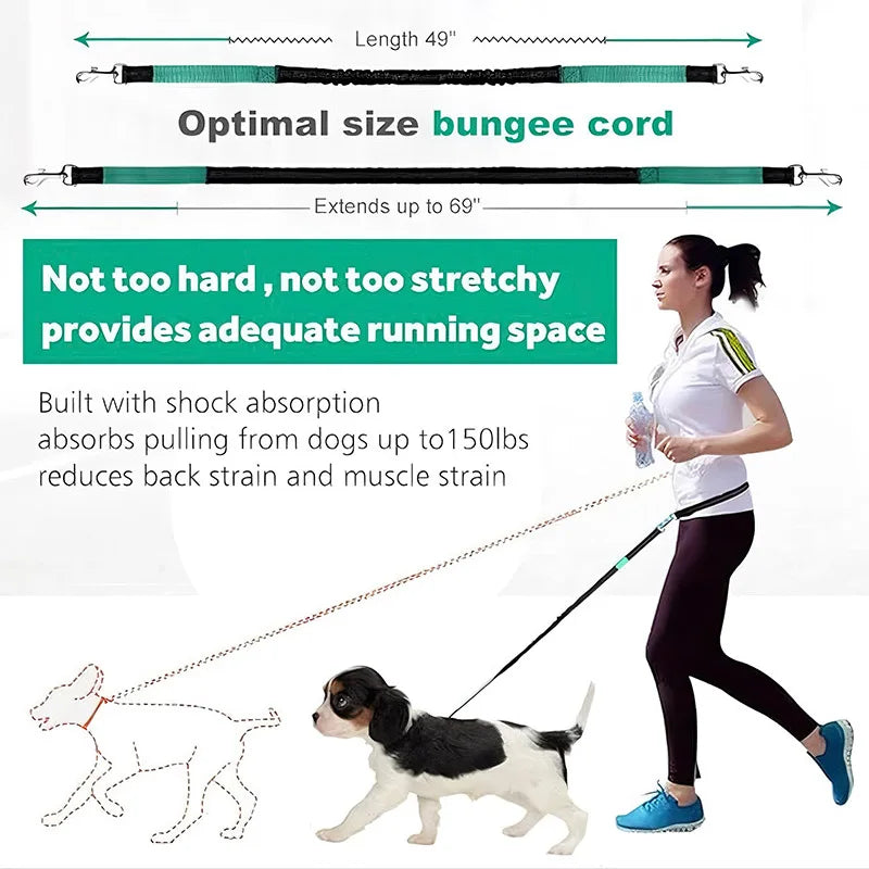 New Hand Free Dog Leash for Pet Walking & Running